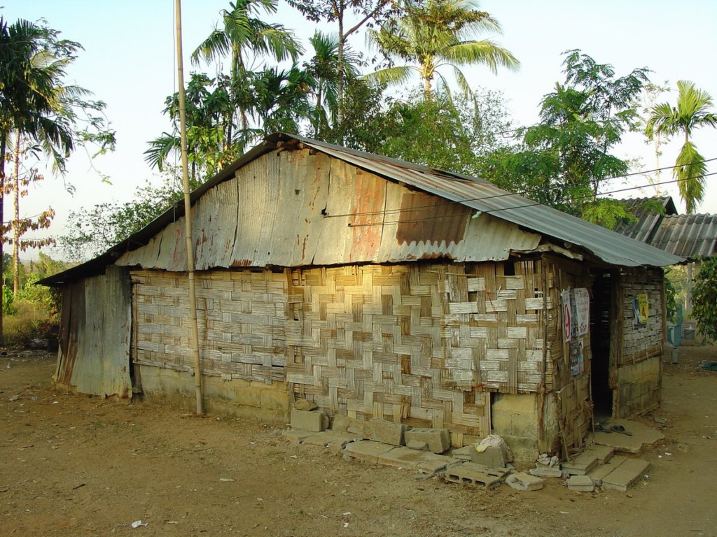 Photograph